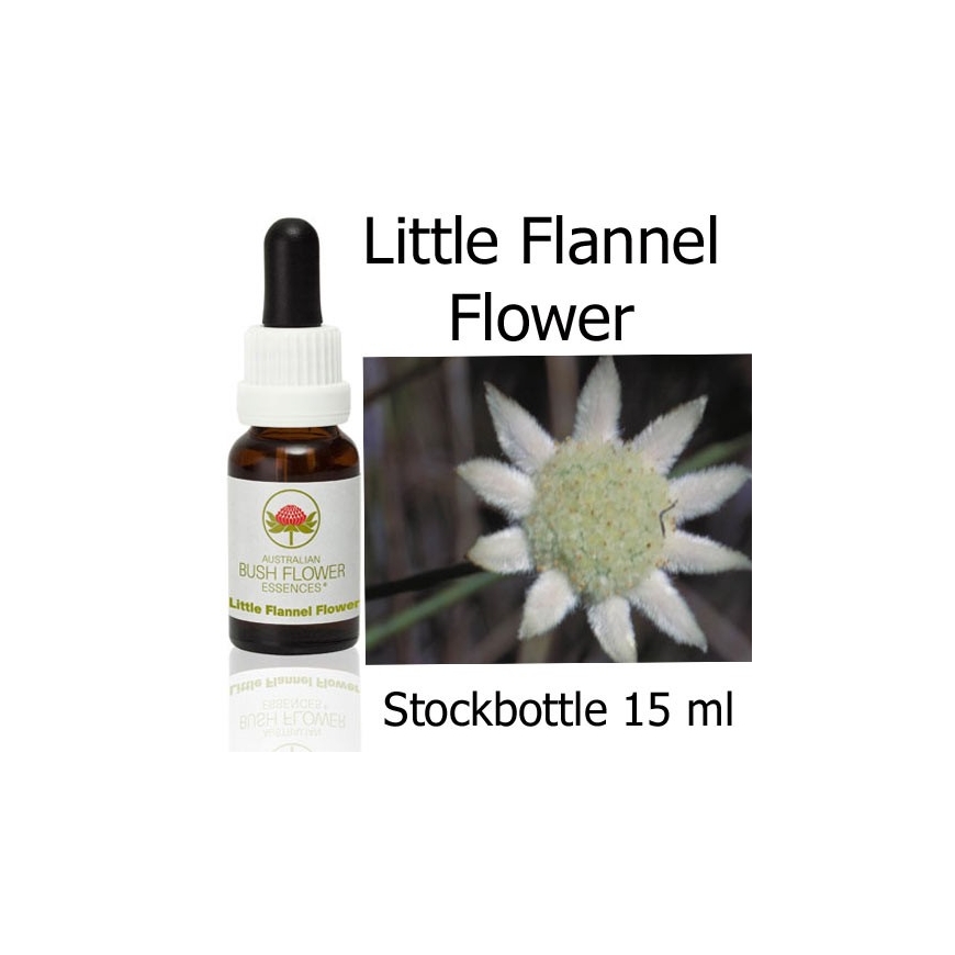 Little Flannel Flower Australian Bush Flower Essences stockbottles