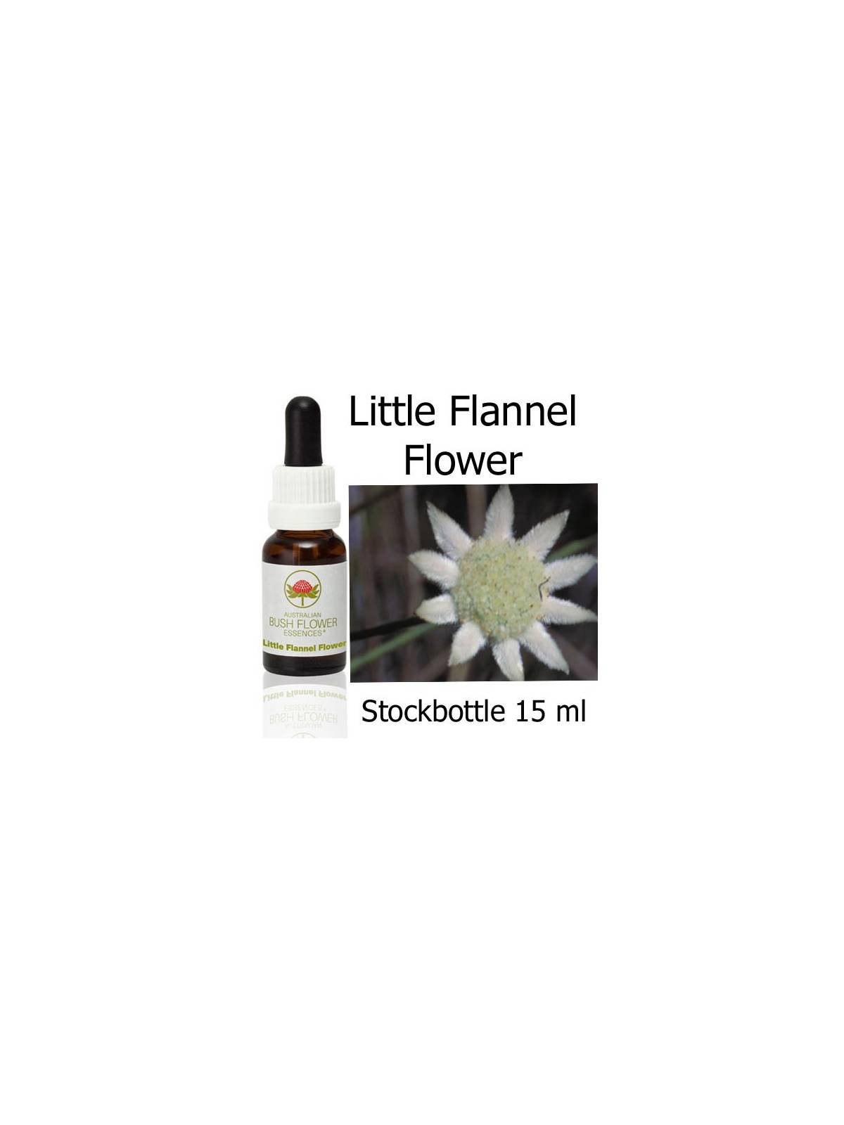 Little Flannel Flower Australian Bush Flower Essences stockbottles
