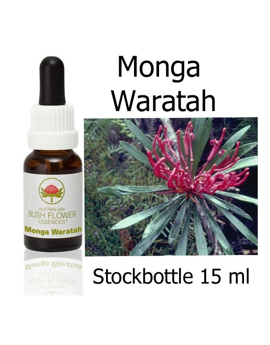 Fiori Australiani Stockbottles Monga Waratah Australian Bush Flower Essences