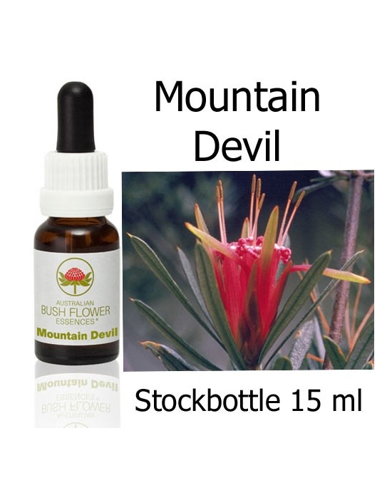 Mountain Devil Australian Bush Flower Essences Stockbottles