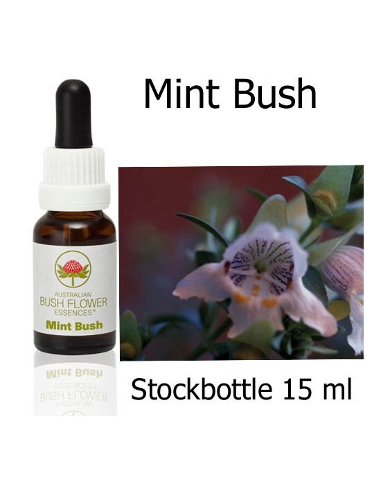 Australische Buschblüten Stockbottles Mint Bush Australian Bush Flower Essences