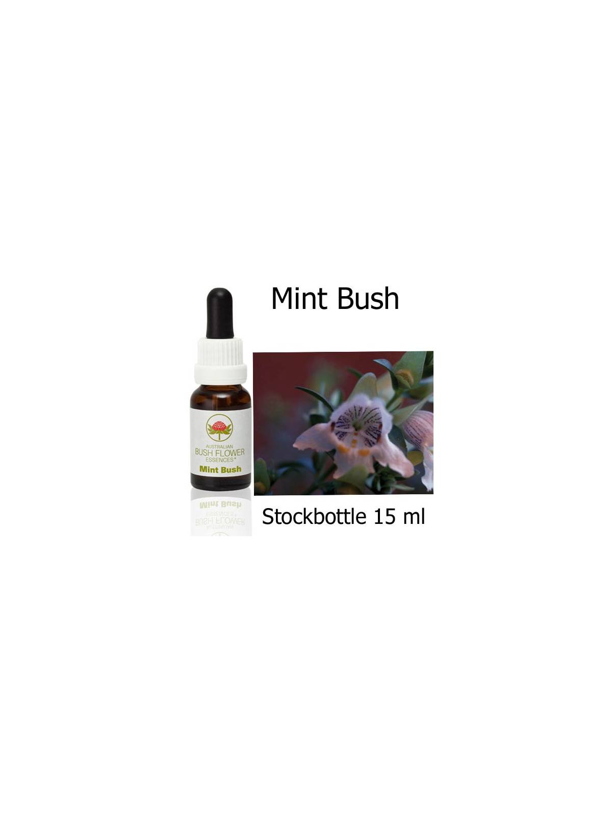 Australische Buschblüten Stockbottles Mint Bush Australian Bush Flower Essences