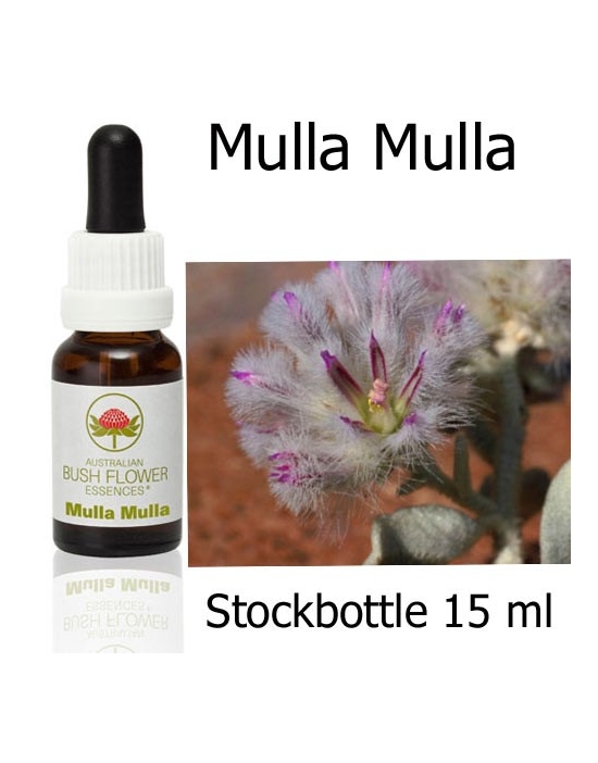 Fiori Australiani Stockbottles Mulla Mulla Australian Bush Flower Essences