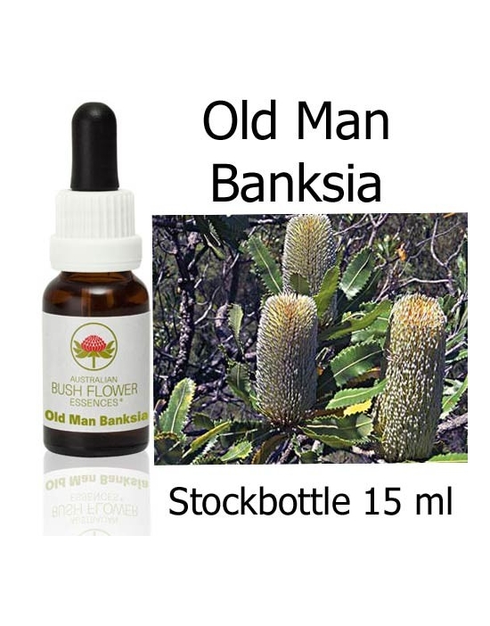 Fiori Australiani Old Man Banksia Australian Bush Flower Essences