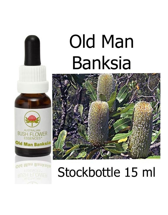 Old Man Banksia Australian Bush Flower Essences stockbottles