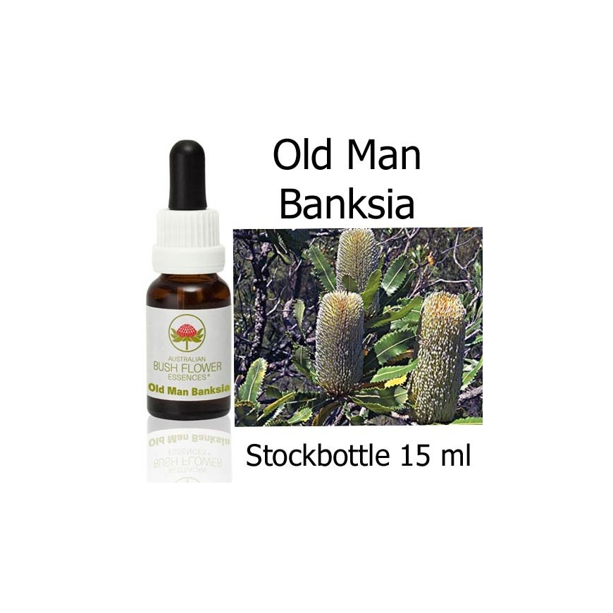 Australische Buschblüten Old Man Banksia Australian Bush Flower Essences