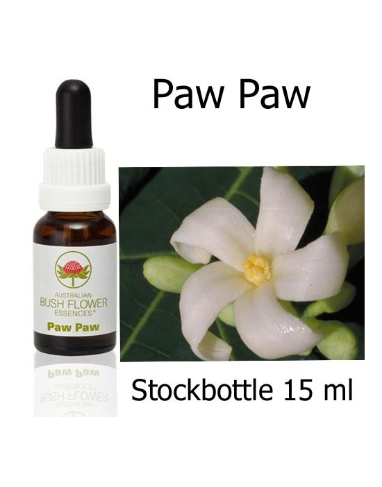 Paw Paw Australian Bush Flower Essences stockbottles