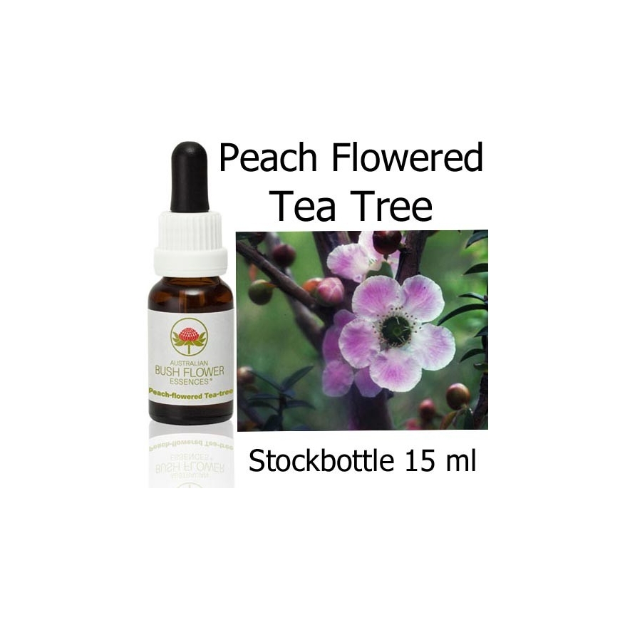 Peach Flowered Tea Tree Australian Bush Flower Essences stockbottles