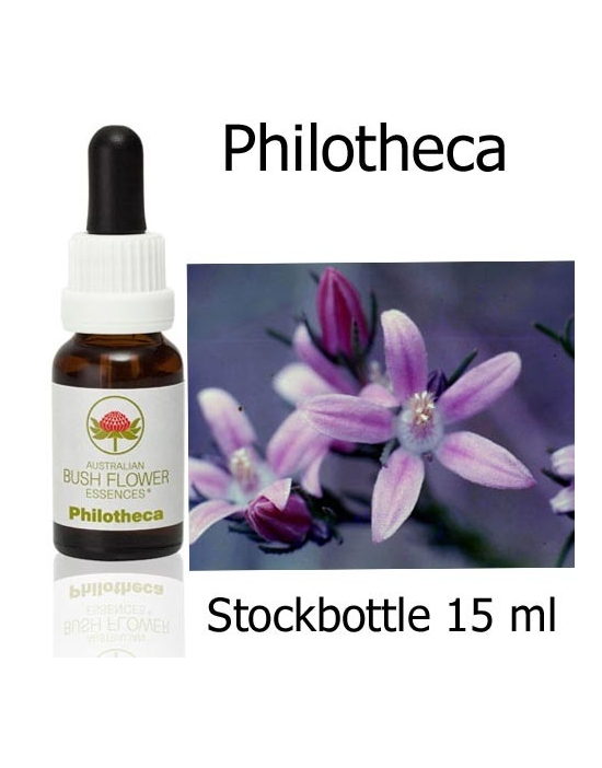 Australische Buschblüten Stockbottles Philotheca Australian Bush Flower Essences
