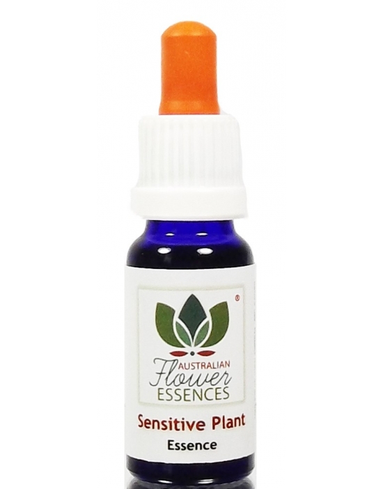 SENSITIVE PLANT 15 ml Australian Flower Essences essenze australiane