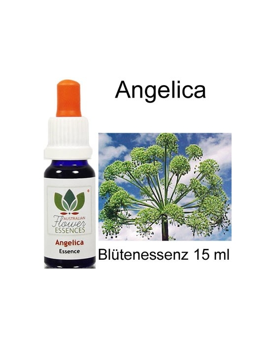 Angelica Australian Flower Essences Fiori Australiani