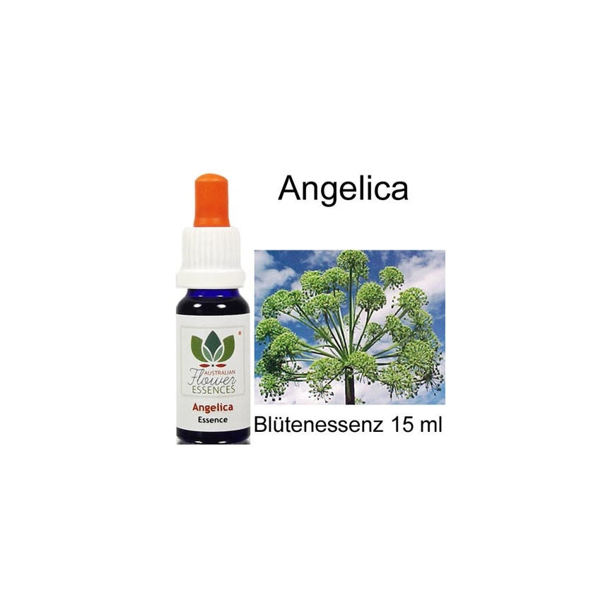 Angelica Australian Flower Essences Love Remedies