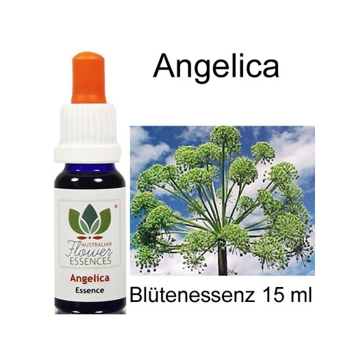 Angelica Australian Flower Essences Love Remedies