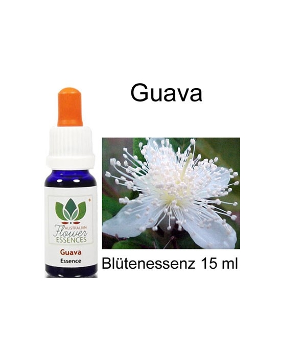 GUAVA Buschblüten 15 ml Australian Flower Essences