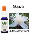 Guava Australian Flower Essences 15 ml