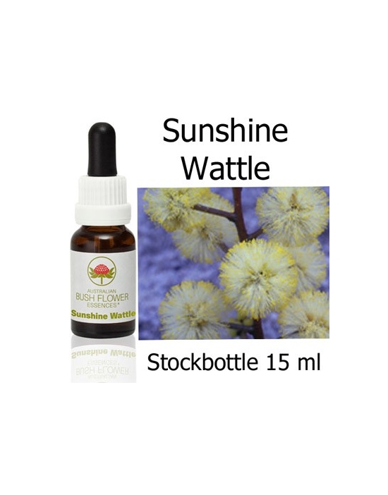 Sunshine Wattle Fiori Australiani Australian Bush Flower Essences stockbottles