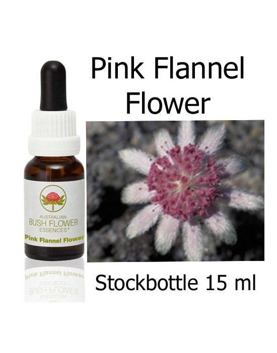 Fiori Australiani Pink Flannel Flower Australian Bush Flower Essences
