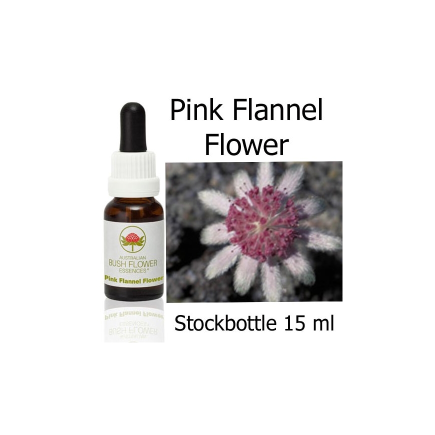 Pink Flannel Flower 
Australian Bush Flower Essences