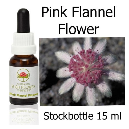 Pink Flannel Flower 
Australian Bush Flower Essences