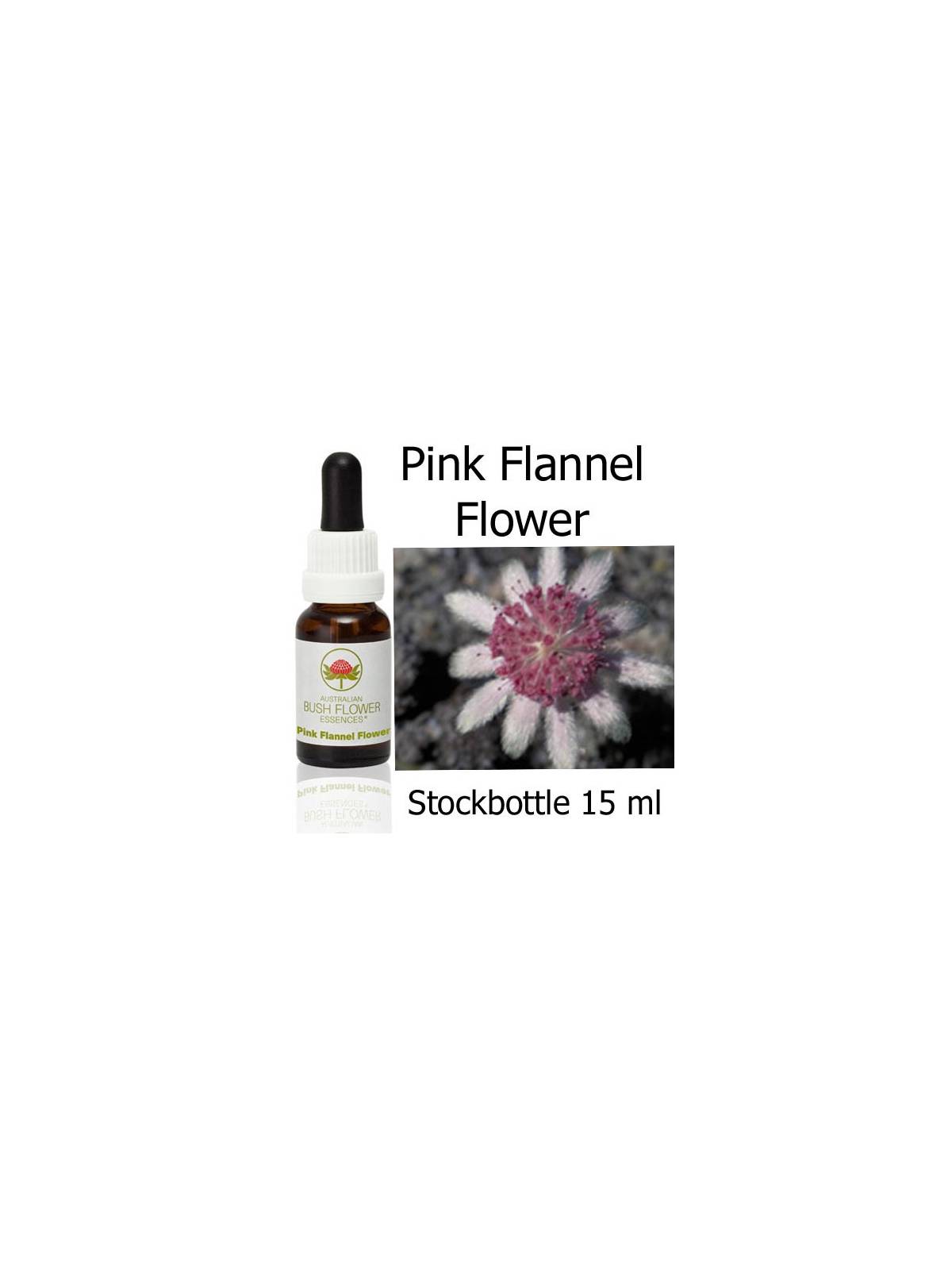 Fiori Australiani Pink Flannel Flower Australian Bush Flower Essences