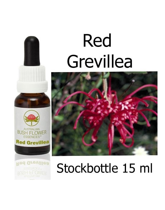 Red Grevillea Australian Bush Flower Essences