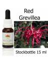 Red Grevillea Australian Bush Flower Essences
