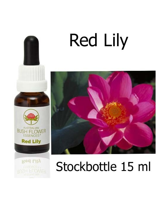 Fiori Australiani Red Lily Australian Bush Flower Essences stockbottles