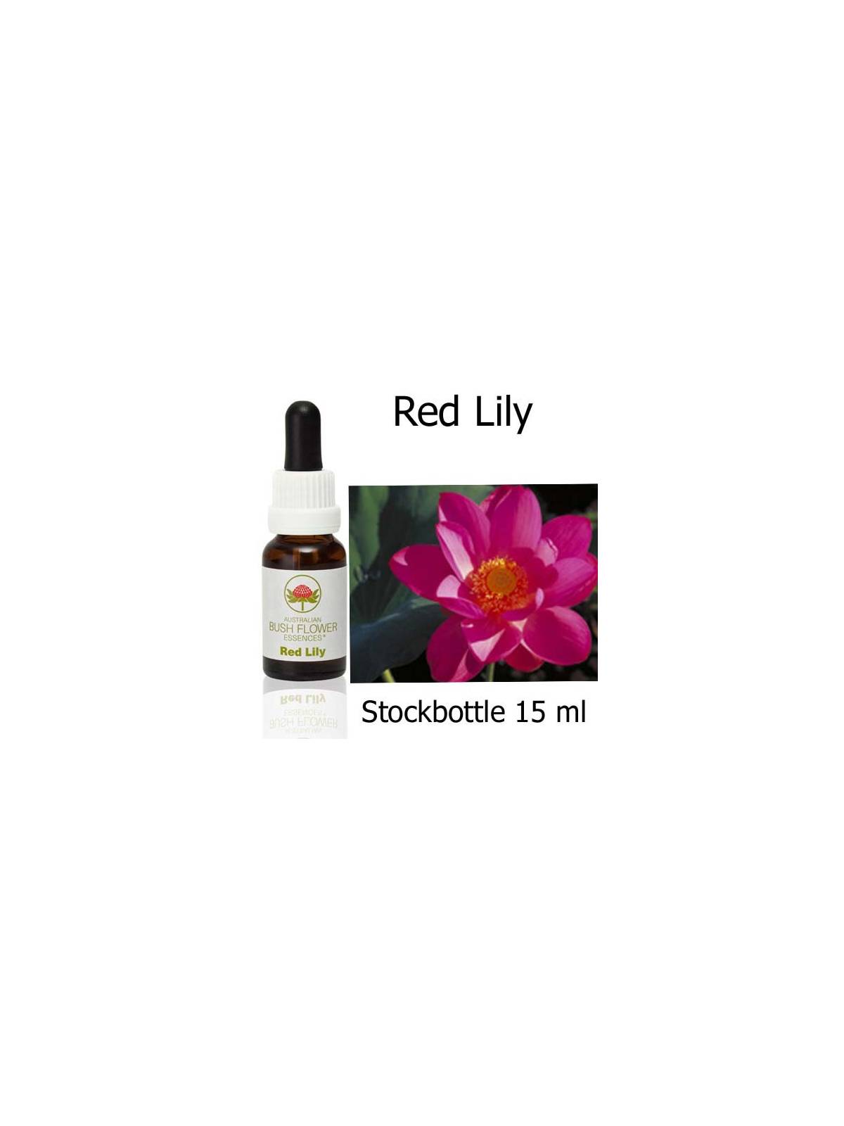 Red Lily Australian Bush Flower Essences stockbottles