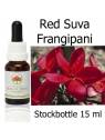 Red Suva Frangipani Australian Bush Flower Essences stockbottles