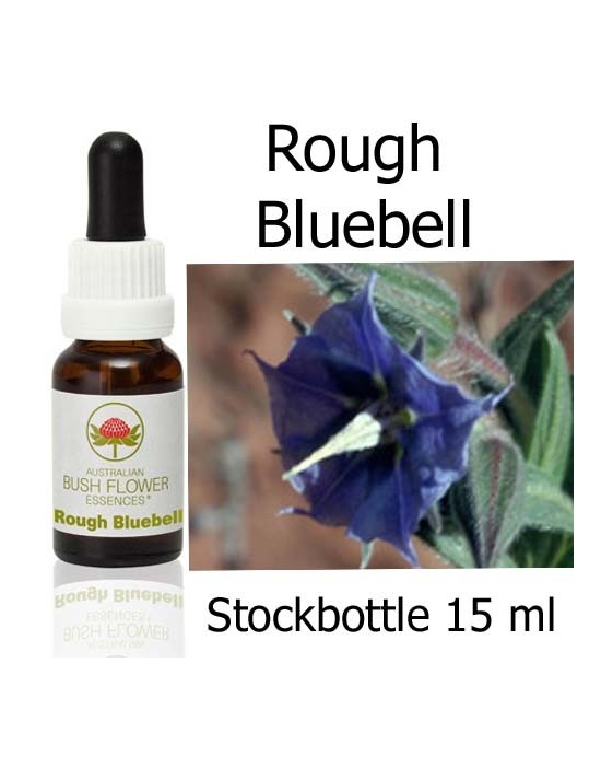 Rough Bluebell Australian Bush Flower Essences stockbottles