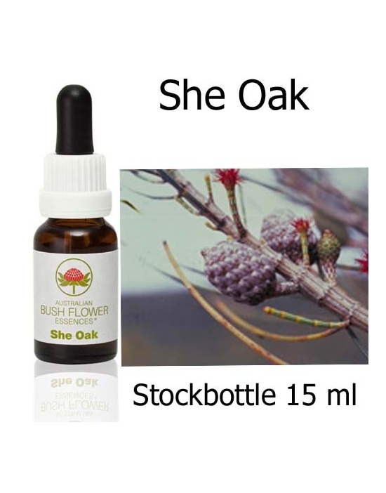 She Oak Australian Bush Flower Essences stockbottles