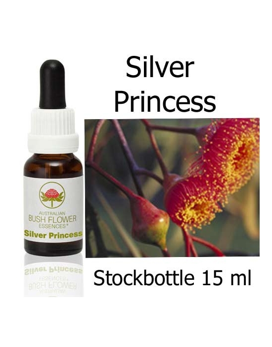 Australische Buschblüten Silver Princess Australian Bush Flower Essences Stockbottles