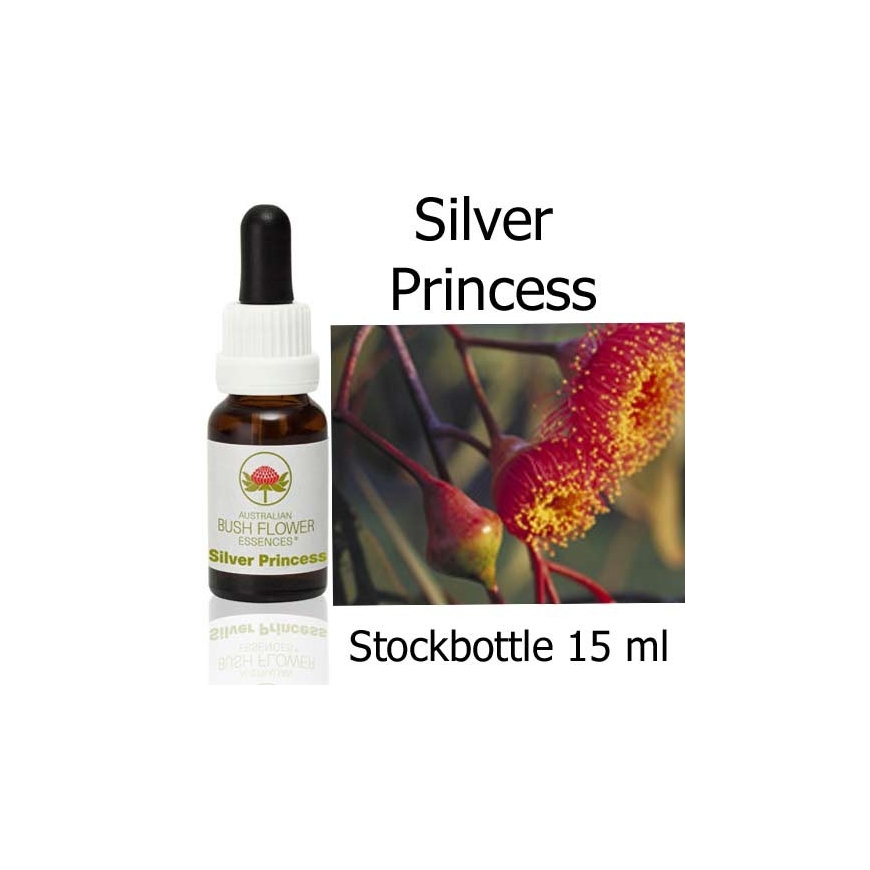 Australische Buschblüten Silver Princess Australian Bush Flower Essences Stockbottles