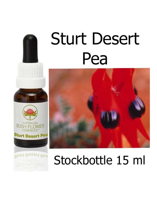 Australische Buschblüten Sturt Desert Pea Australian Bush Flower Essences Stockbottles