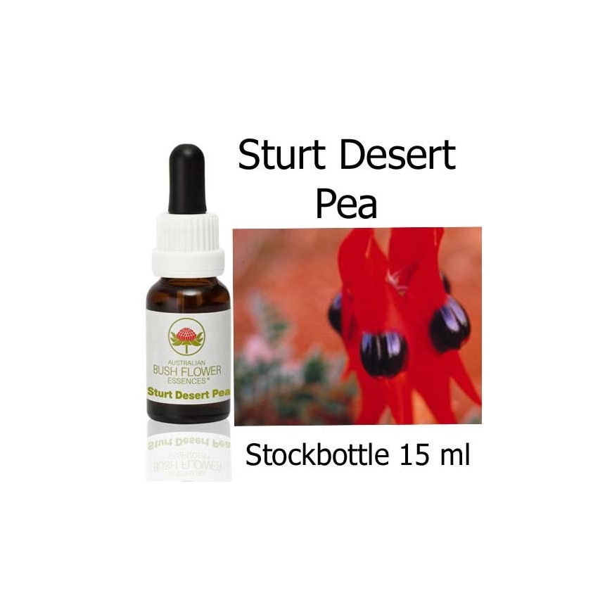 Sturt Desert Pea Australian Bush Flower Essences stockbottles