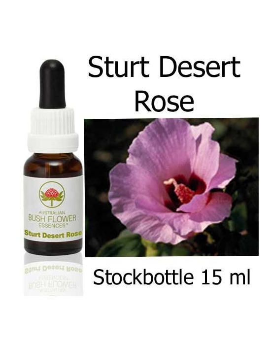 Sturt Desert Rose Australian Bush Flower Essences stockbottles
