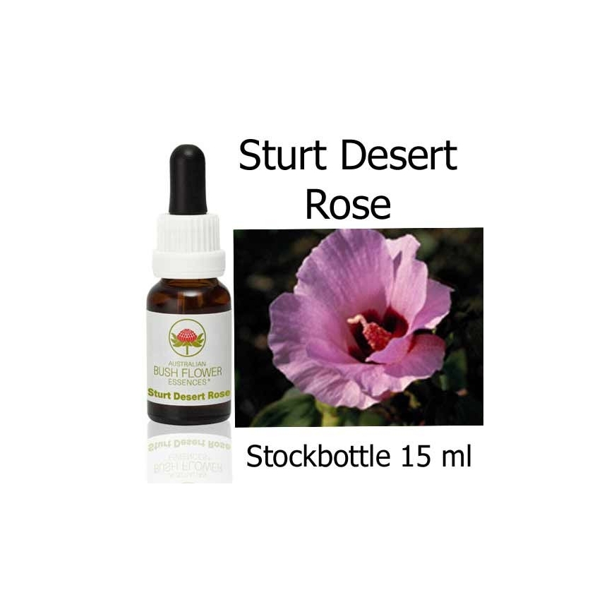 Sturt Desert Rose Australian Bush Flower Essences stockbottles