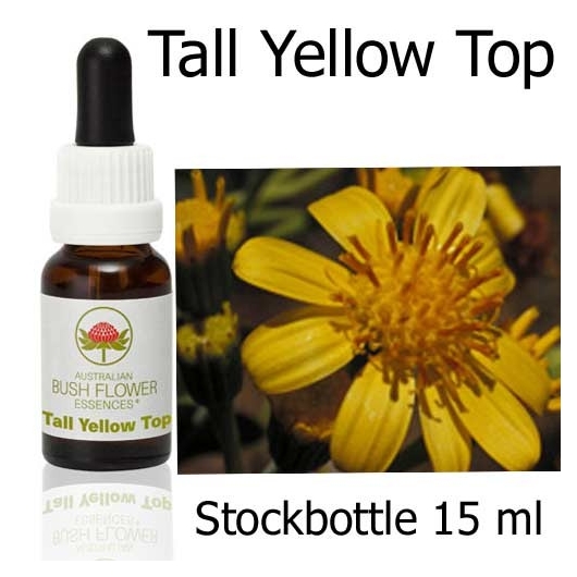 Australische Buschblüten Tall Yellow Top Australian Bush Flower Essences Stockbottles
