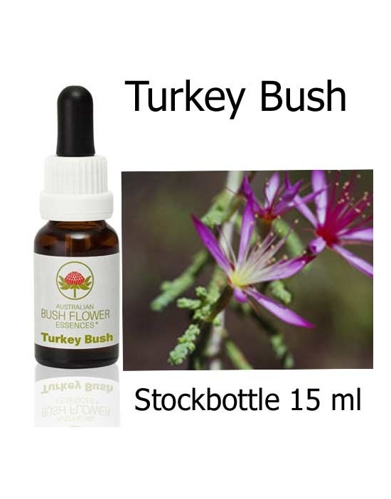 Turkey Bush Australian Bush Flower Essences