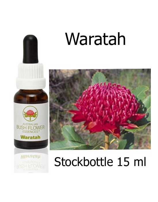 Waratah Australian Bush Flower Essences stockbottles