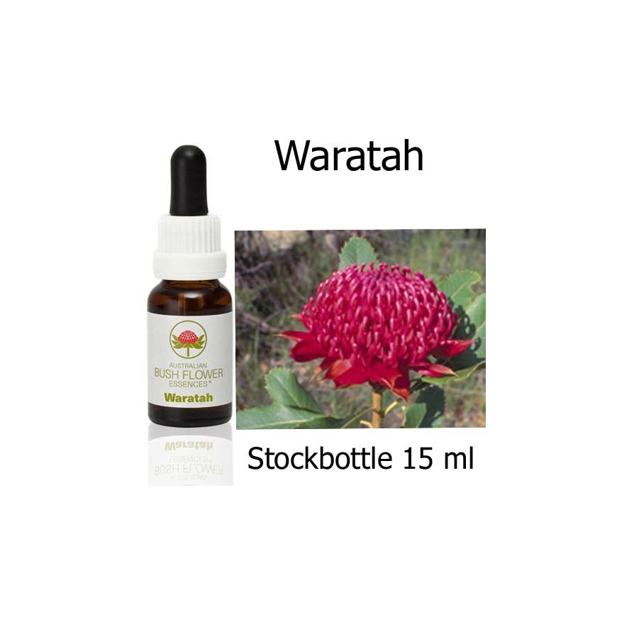 Waratah Australian Bush Flower Essences stockbottles