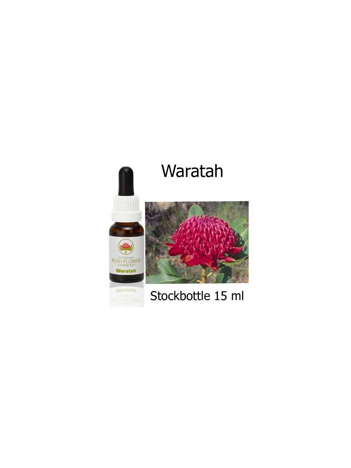 Australische Buschblüten Waratah Australian Bush Flower Essences Stockbottles
