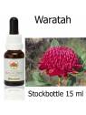 Fiori Australiani Waratah Australian Bush Flower Essences stockbottles
