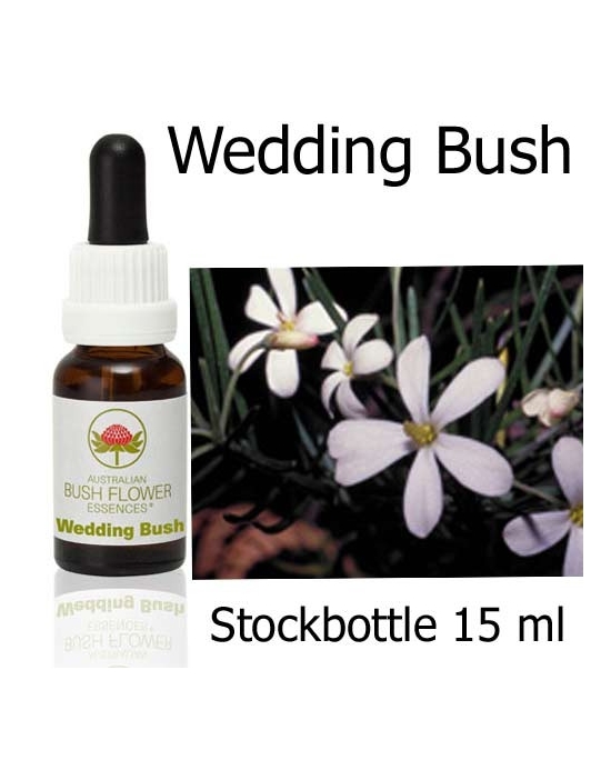 Australische Buschblüten Wedding Bush Australian Bush Flower Essence Stockbottles