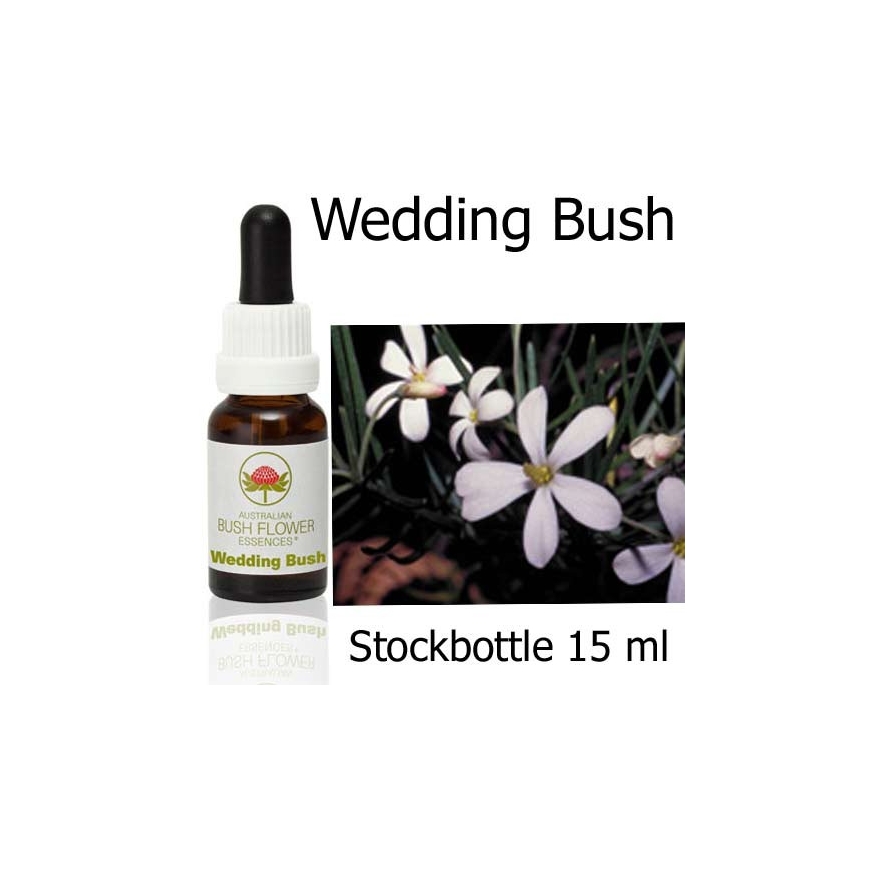 Australische Buschblüten Wedding Bush Australian Bush Flower Essence Stockbottles