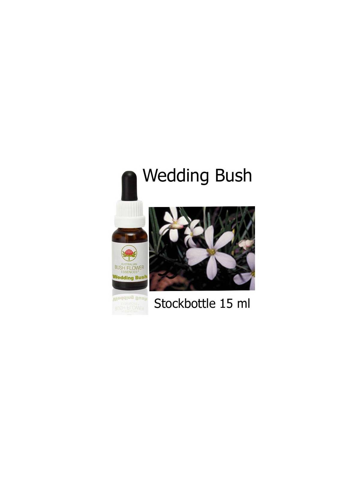 Wedding Bush Australian Bush Flower Essences stockbottles