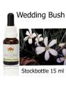 Australische Buschblüten Wedding Bush Australian Bush Flower Essence Stockbottles