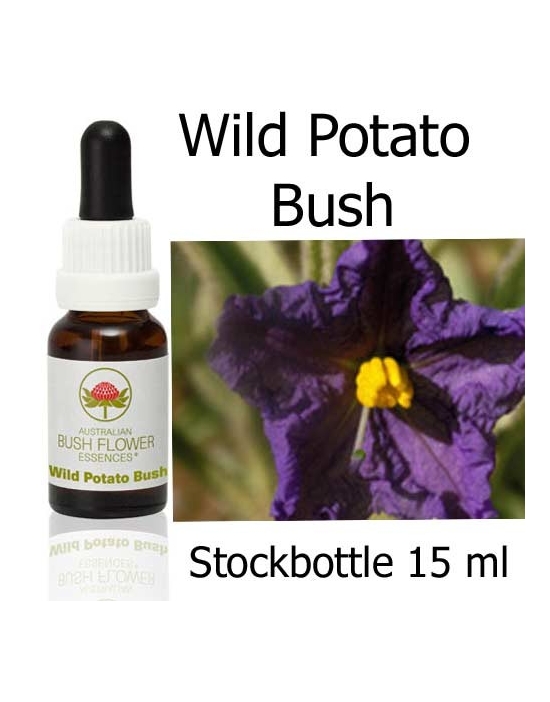 Wild Potato Bush Australian Bush Flower Essences