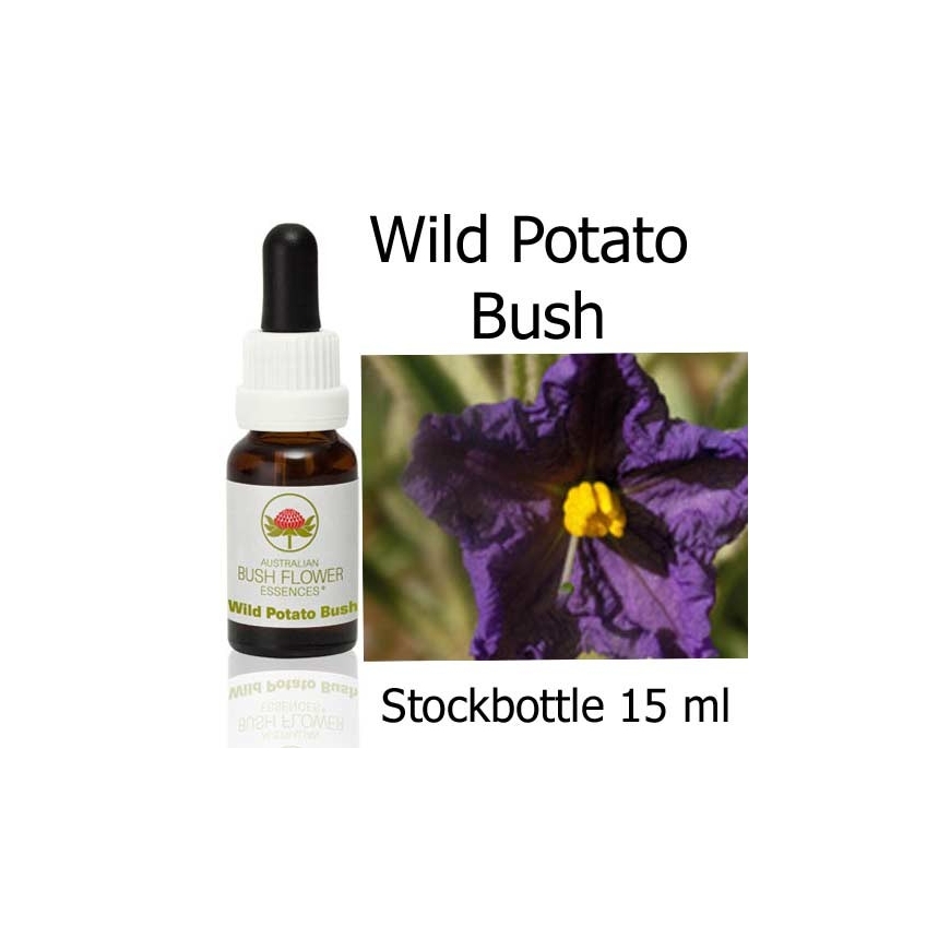 Australische Buschblüten Wild Potato Bush Australian Bush Flower Essences Stockbottles