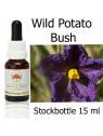 Australische Buschblüten Wild Potato Bush Australian Bush Flower Essences Stockbottles